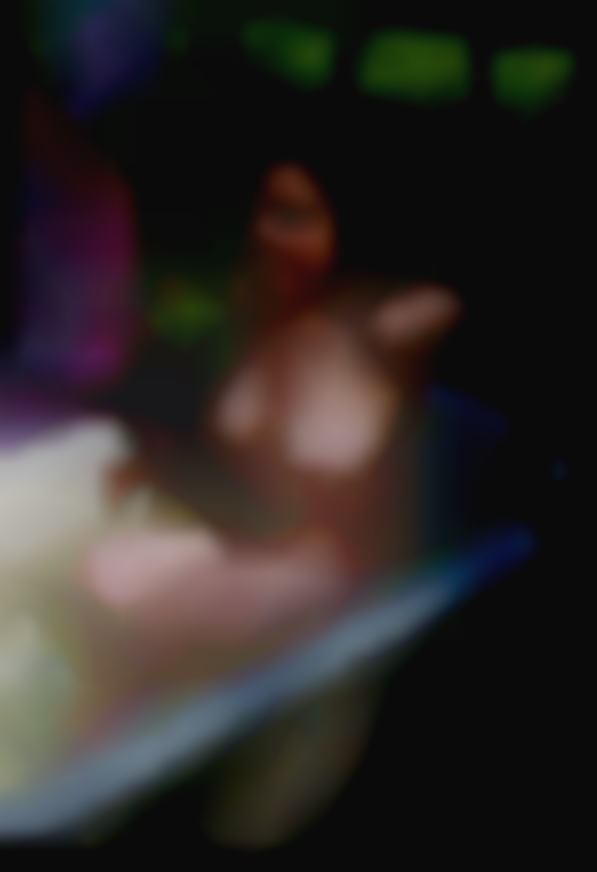 Date a cuckold pussy comprofile-view near Hollywood.
